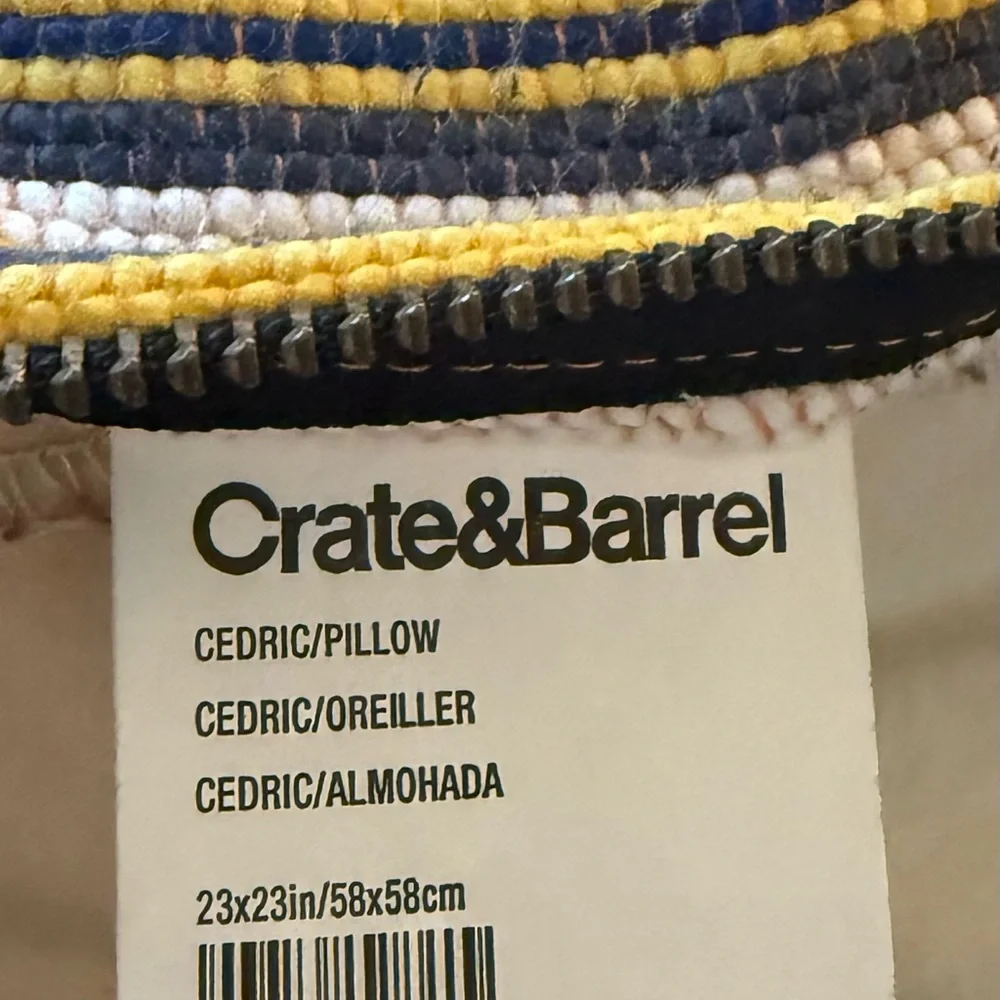 Crate&Barrel Cedric Pillows